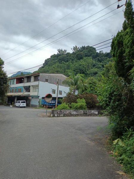 草屯「樹藤岩」台灣省政府圖根補點3131445
