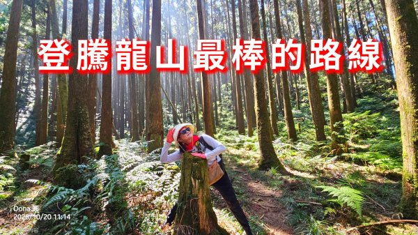 大湳林道上騰龍山(北橫龍山)最棒