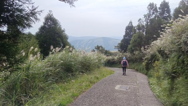 (姨婆趴趴走)第二十六集:攀登台北第一高峰七星山2321121