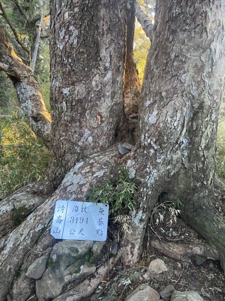 2024/8/30-31尋訪傳說中的鳥山~喀拉業2587333