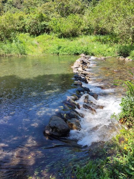 九寮溪自然步道2867190