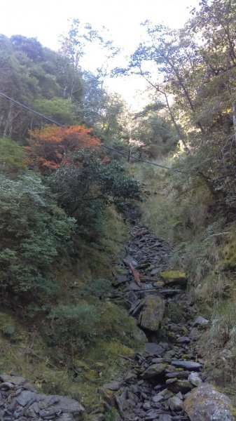 高聳雲天的檜山巨木群步道718773