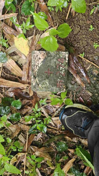 20250424八勢古道-東小坪頂山-貴子坑山主東西-水磨坑山2769520