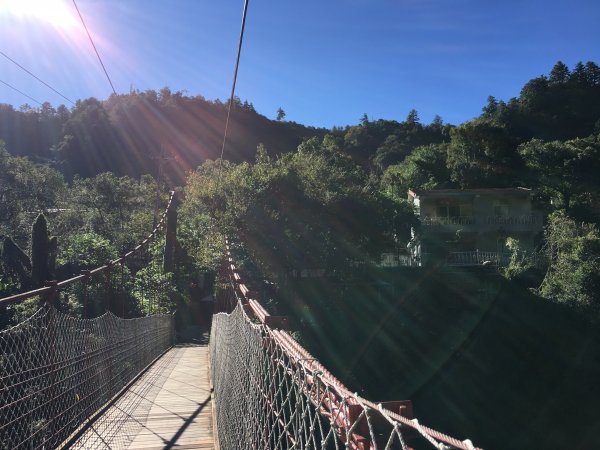 20161119_谷關七雄之四-波津加山873752