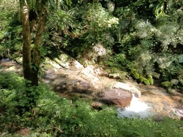 坪林區小粗坑古道+小粗坑山+環山路+楣子寮尖+貴妃池O型2994468