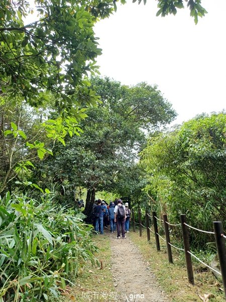 【苗栗南庄】沿途潺潺溪水聲。 蓬萊溪護魚步道2688936