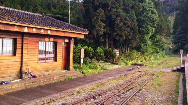 【二萬平車站火車時】2019阿里山私房景691780
