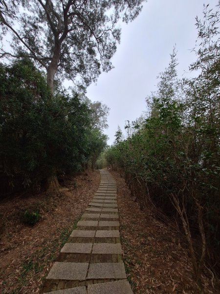 劍潭古道202503122734297