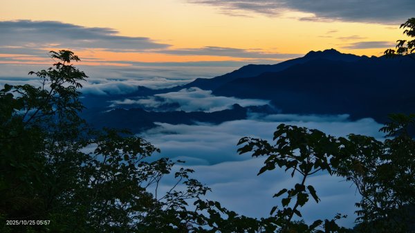 #馬那邦山 #琉璃光 #日出 #雲海 #山羌 #楓葉 10/25 & 11/12924588