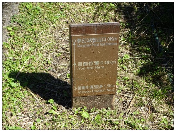 七星山連峰/芒花738708