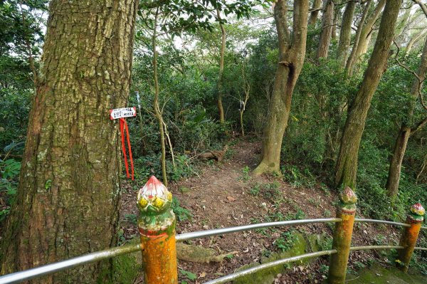 新竹 竹東三山 - 員崠子山、樹杞林山、新具庄山2528290