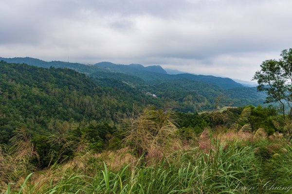 [宜蘭]鵲子山2932532