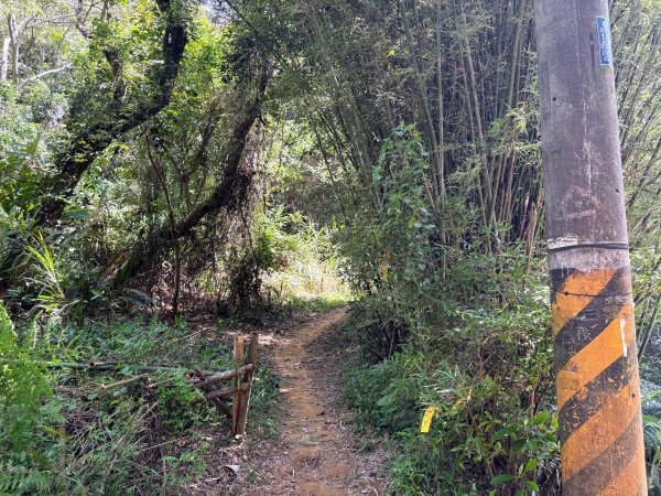 三段崎古道封面