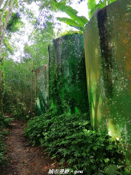 【苗栗。南庄】到山裡森呼吸。 小百岳集起來。編號32小百岳-向天湖山1466269