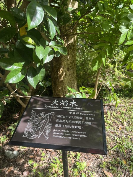 [屏步青雲 尋寶任務-03/10] 2024_0917 雙流國家森林遊樂區（瀑布步道）2597732
