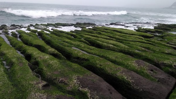 2018 2/16 老梅綠石槽879513