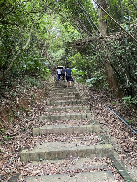 20250706-EP.06犁頭山、文山步道-2025森遊竹縣皮皮獅探險隊2851716