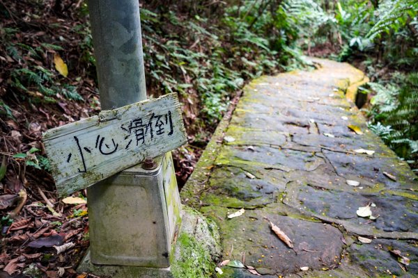 台北大縱走第五段2606188