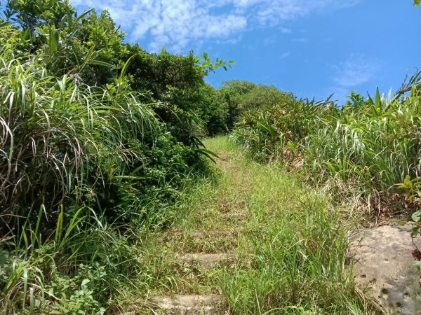 瑞芳區海園古道+鼻頭港稜+鼻頭山稜O型2872785