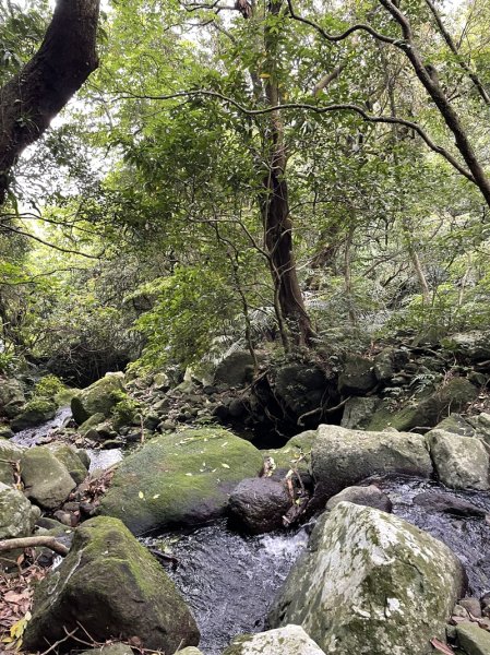 小觀音山西峰2488976