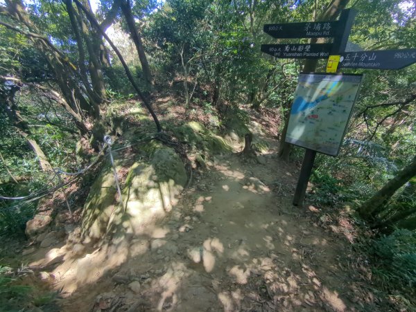 2025.09.21－微笑山線：【鳶山山系】鳶山彩壁段2898708