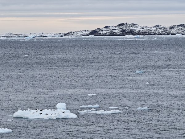 [紐約馬之行-27] 2025_1105 努克濱海木棧道(Nuuk Boardwalk)-下2947628