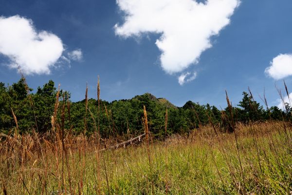 桃山獨走初秋175010