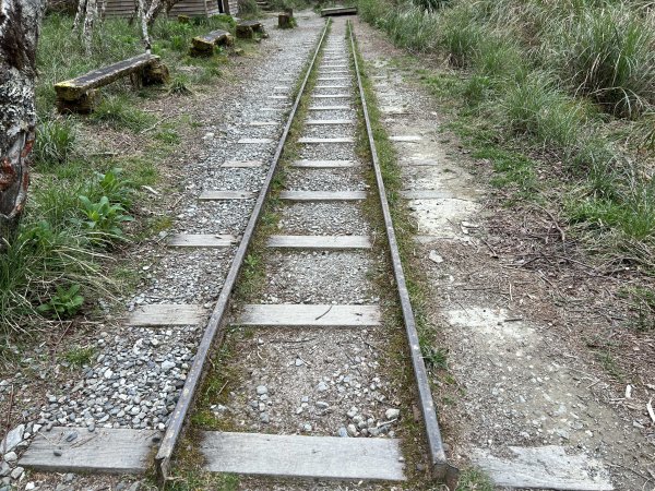 翠峰湖環山步道2763408