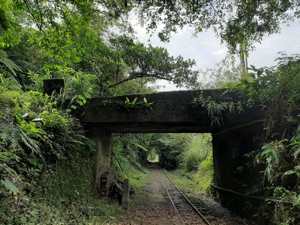 小百岳寶石〡No.10 五分山968805