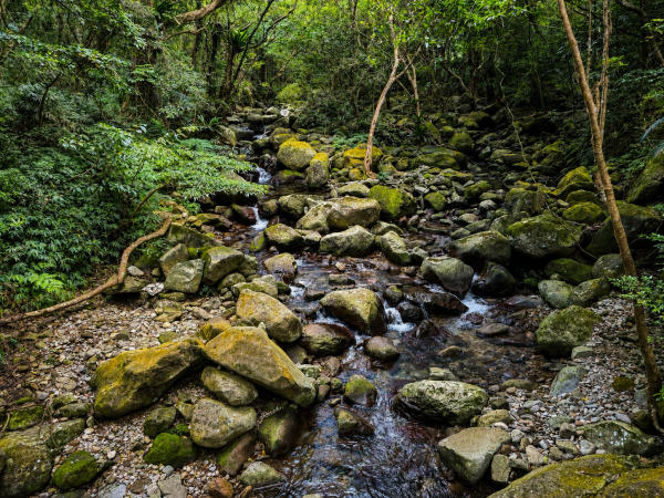 青山瀑布與老梅冷泉3113632