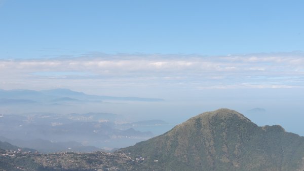 茶壺/半屏/燦光寮山賞芒趣1175630