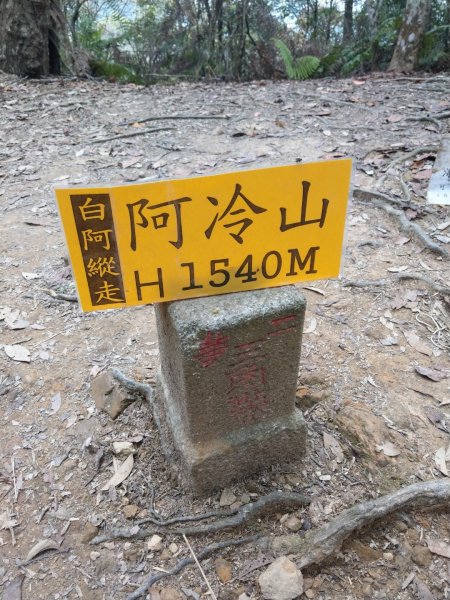 阿冷林道上阿冷山2020/3/22888340