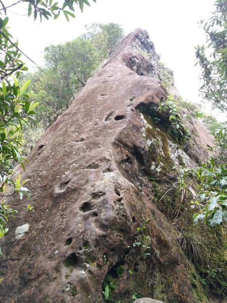 微笑山線：【二格山系】皇帝殿稜線段3003091
