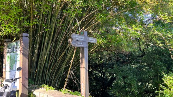 環七星山人車分道-冷水坑至新園街段2166052