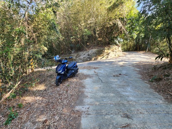 20250114石井山、榴子坑山、後脊山、龍頂山2728603