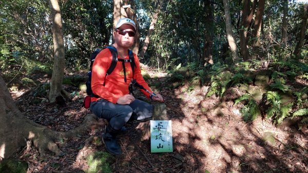 安坑五山縱走2784630