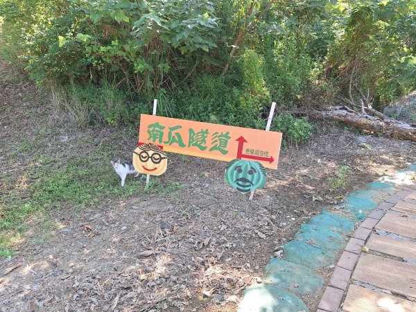 龍昇湖環湖步道+鄭漢步道202509132894808