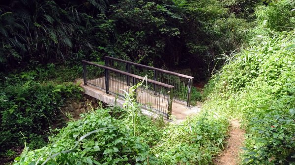 頂福巖森林步道(林口森林步道)2283276