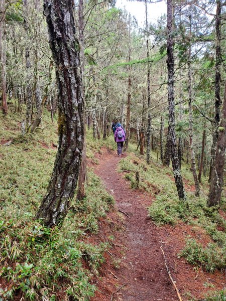 郡大碰碰車952500