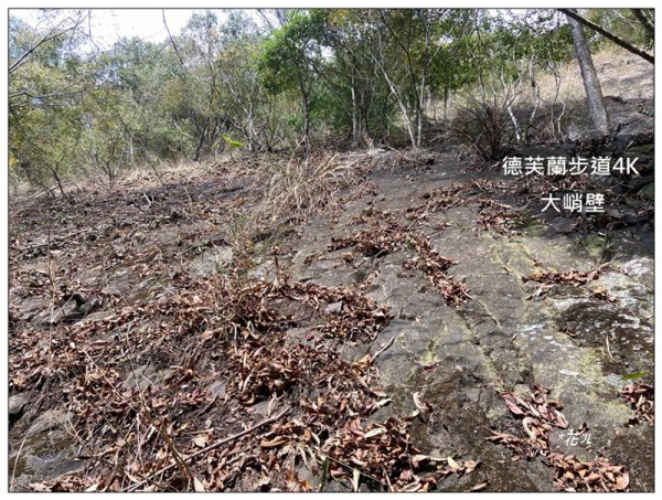 東卯山、東卯山西峰、東卯山西南峰 連走2932831