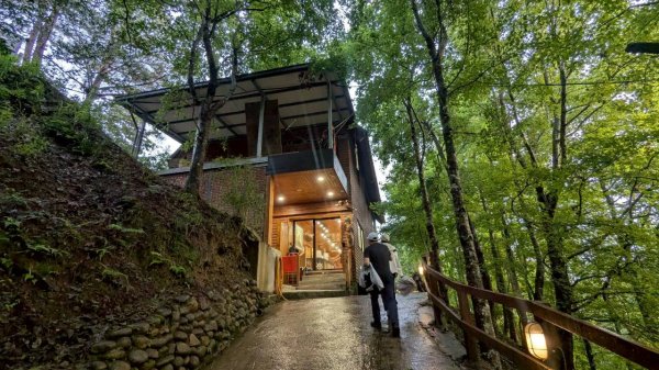 司馬庫斯巨木步道2861076