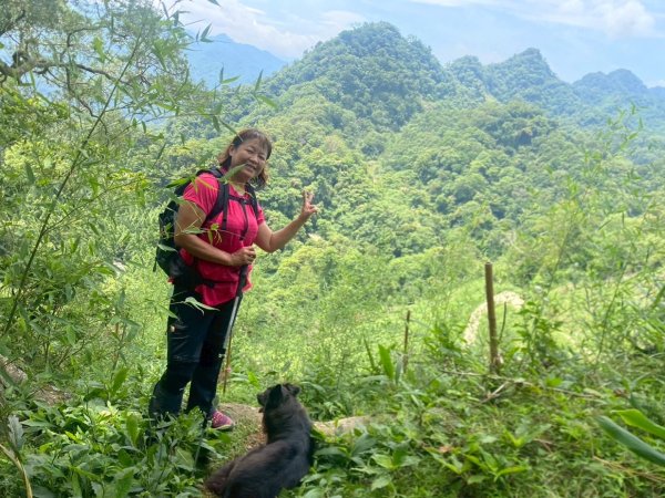苗栗縣獅潭鄉鳴凰古道O型縱走2803671