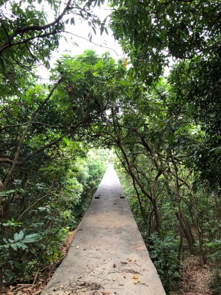 2020.04.02北柴山900677