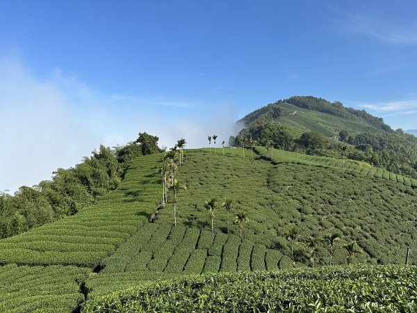 雲嘉十八連峰1932612