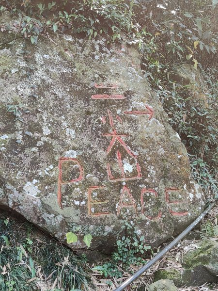 雲嘉大尖山、二尖山步道913674