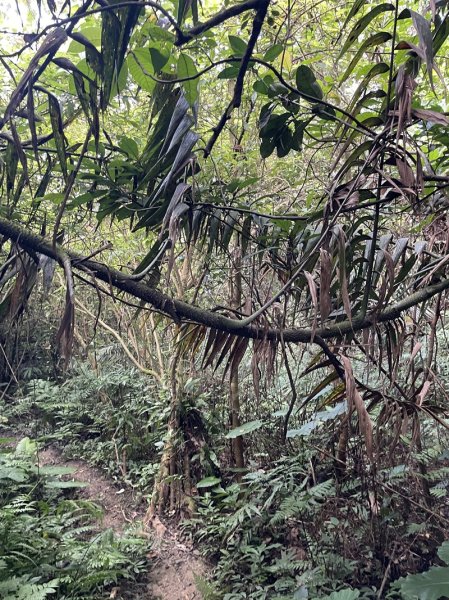 月扇湖大岩壁2952415