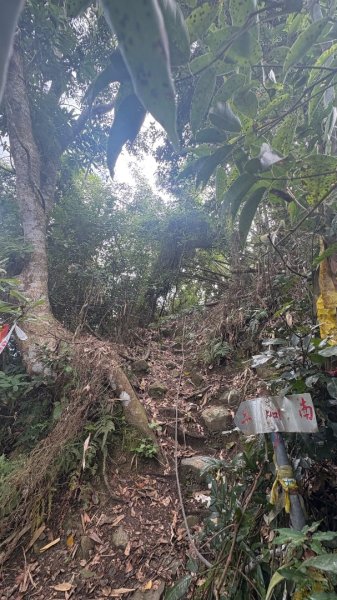 三腳南山2799545