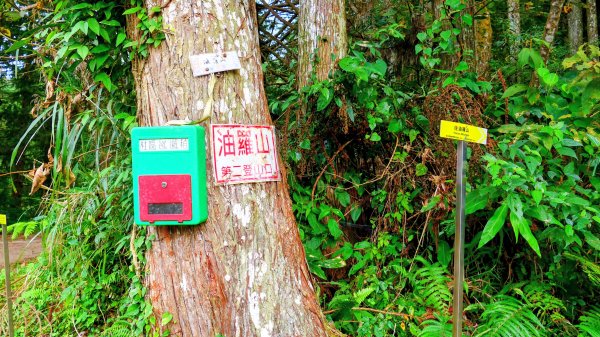 油羅山(一上三下)2959203