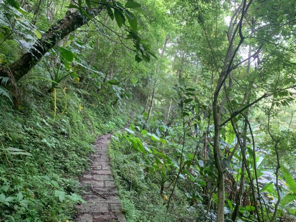 大崎棟古道、騎龍古道2772359