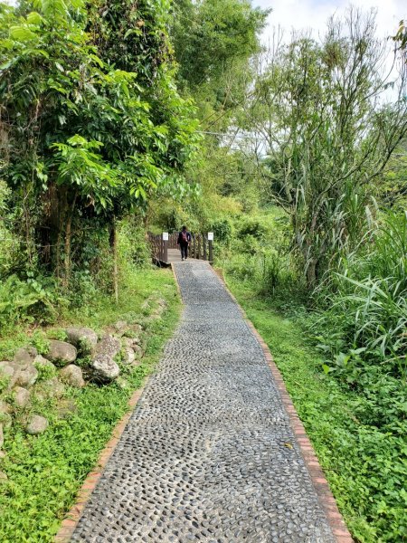 台中大坑頭嵙山697981